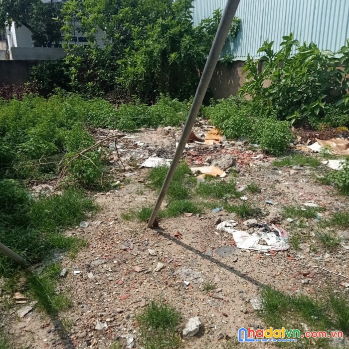 Bán đất mặt tiền đường nhựa ấp đông 5 cách tô ký tầm 300m