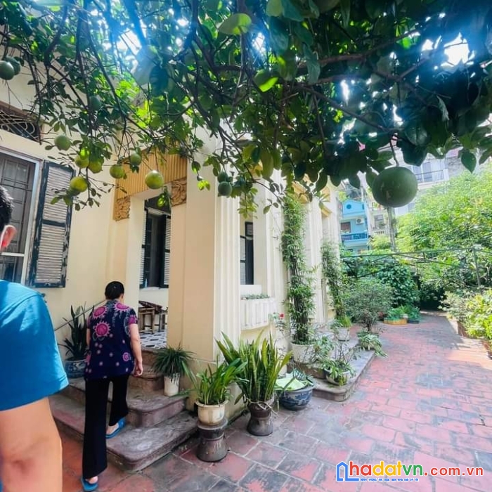 Chính chủ nhờ bán gấp căn biệt thự cố giữa lòng hà nội 500m2, 3 tâng, views hồ tây siêu xịn