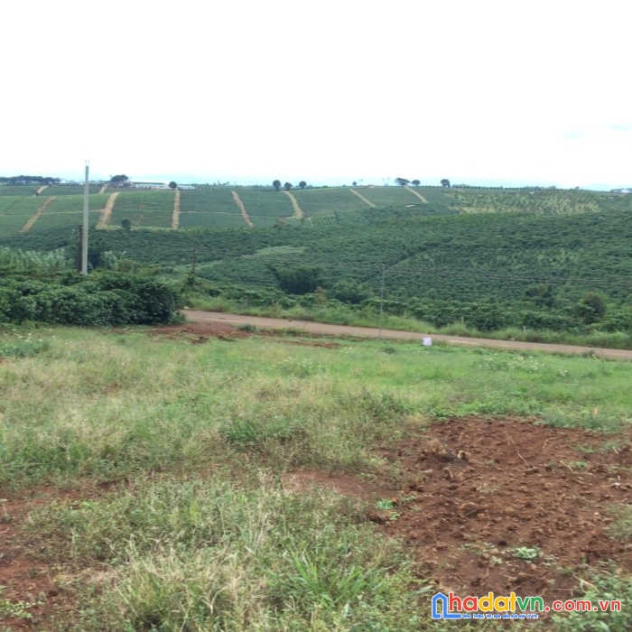 Bán đất lộc quảng mặt tiền đường thổ cư 200m2 sổ ngay