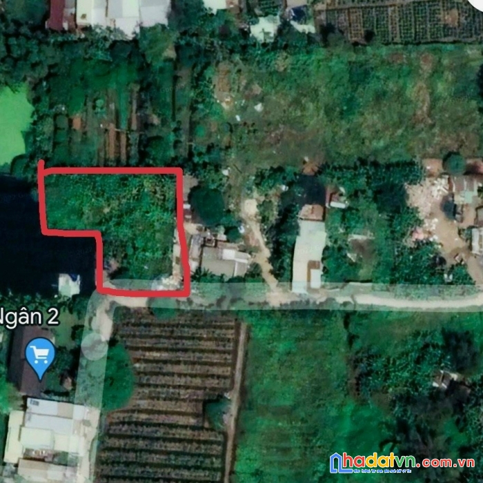 Cần bán gấp 1.000 m2 đất trồng cây tại phường tam phú tp thủ đức