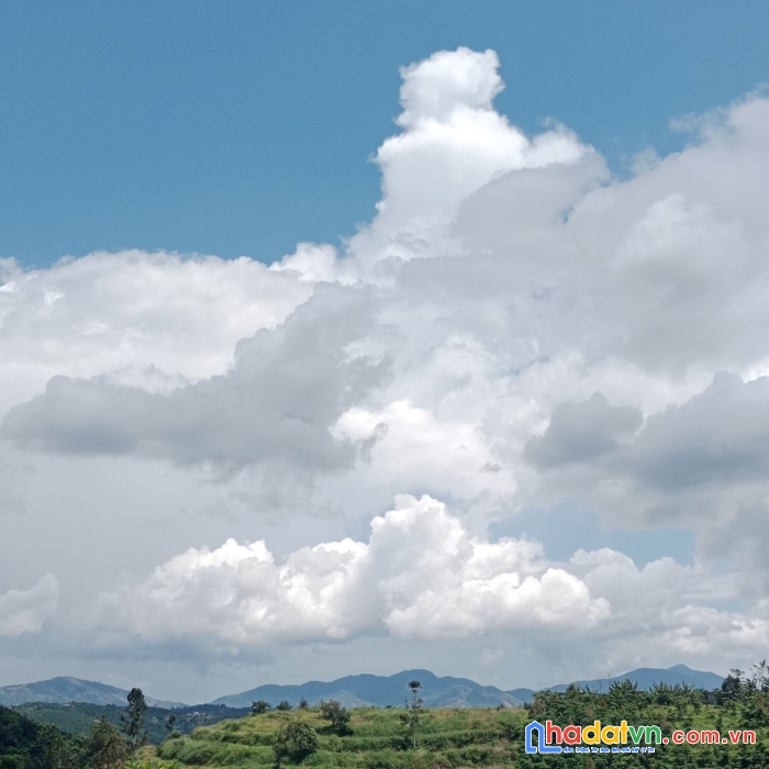 Đất thổ cư view đồi săn mây cực đẹp lộc quảng, cách bảo lộc 10 phút đi xe, mặt đường nhựa 8m giá