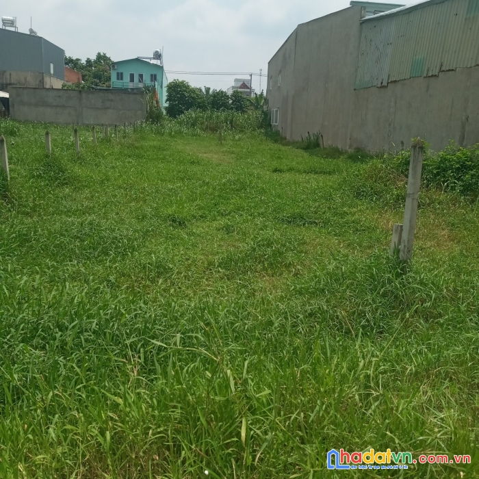 Kẹt tiền cần bán 201.8m2 đất ở xã tân thạnh đông, huyện củ chi giá 2.5 tỷ