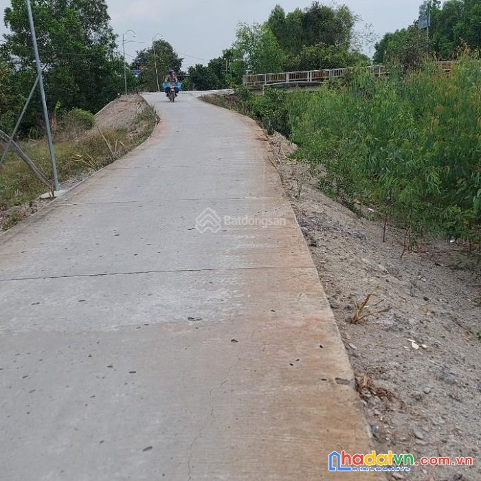 Bán gấp lô bán đất trồng mít tại tân phước, tiền giang