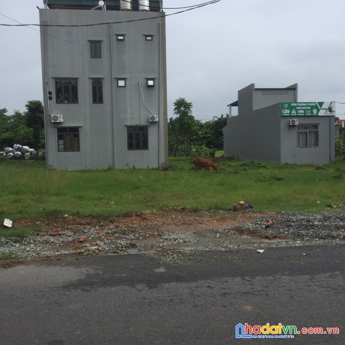 Trục chính vị trù, thanh trù, vĩnh yên