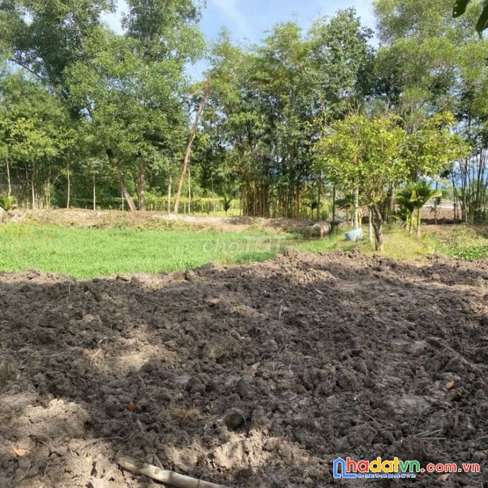 Bán đất mặt tiền đường vành đai xã hoà khương
6000m2 có trong sổ 2140m2 có 200m2 đất ở