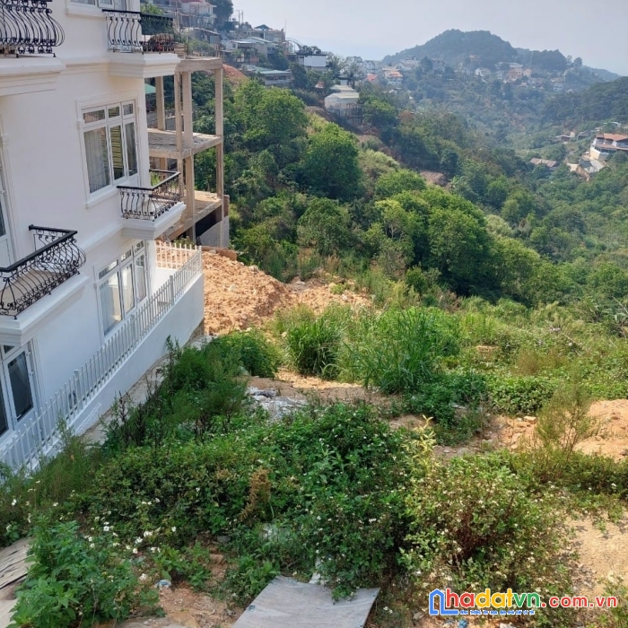 Bán gấp đất biệt thự view đẹp đường hoàng hoa thám, đà lạt 291m2 giá 11.7 tỷ