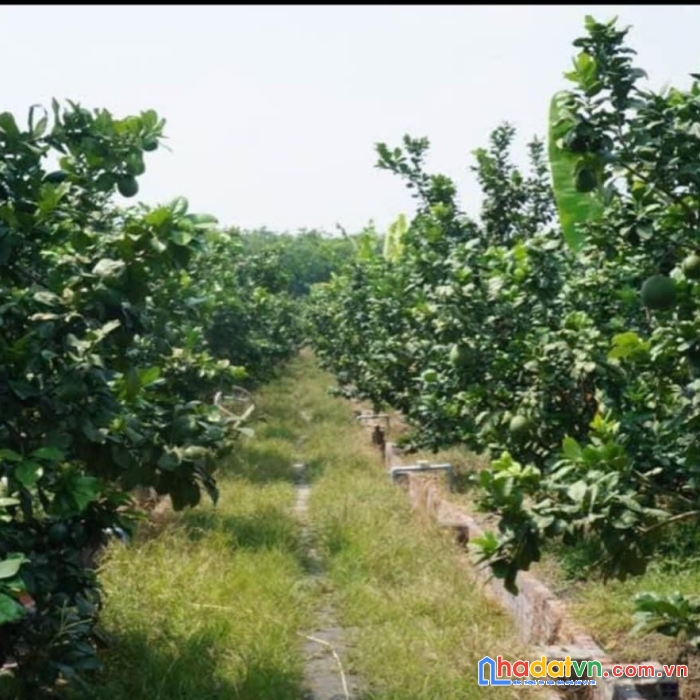 Xoay vốn kinh doanh gấp trong tháng gia đình cần bán