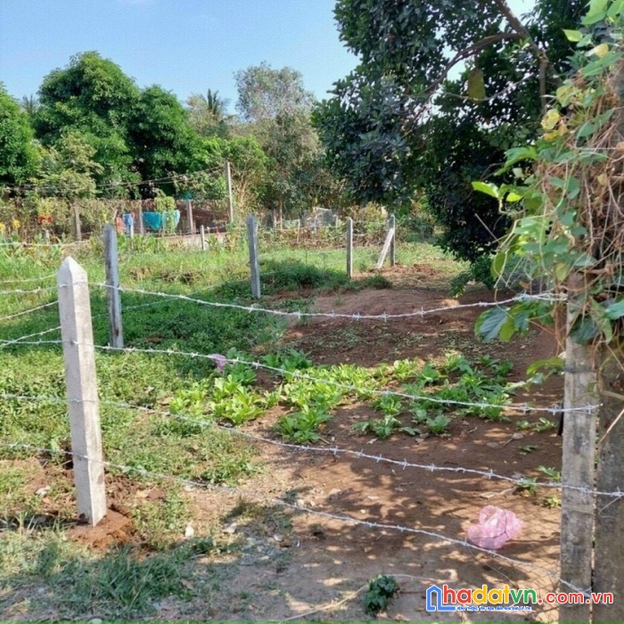 Đất nền thổ cư chủ bán gấp mặt tiền 6m đường lớn