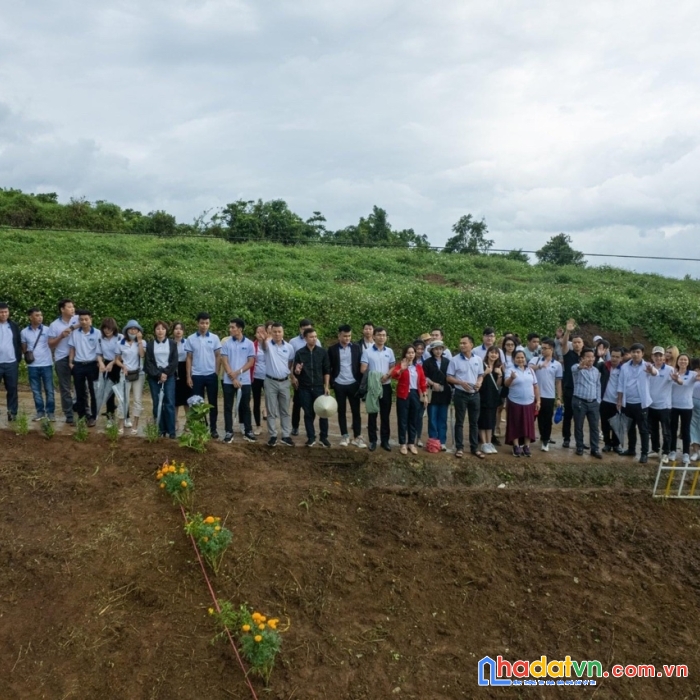 6000 m2 bảo lộc lâm đồng