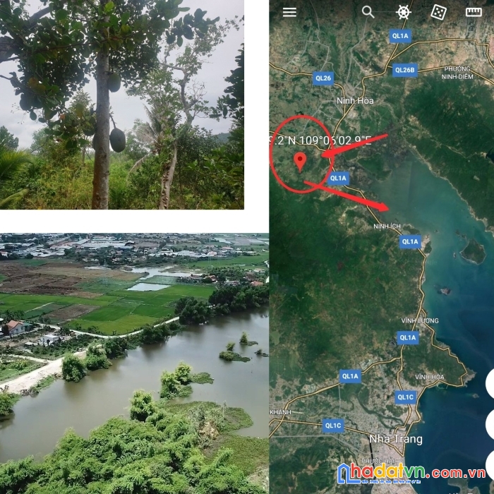 Cần bán 32.000m2 đất rsx tại thôn vạn khê, ninh lộc, ninh hòa, khánh hòa sẵn sổ hồng sang tên ngay