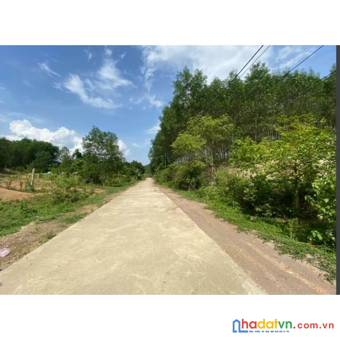 Cần bán lô đất mặt tiền vị trí đẹp tại khánh hòa