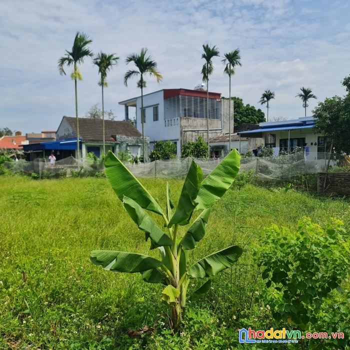 Lô đất nhà vườn 890m2 đường 4m tuyến 2 đường nghĩa phương, minh đức , đồ sơn. 2,x tỷ .