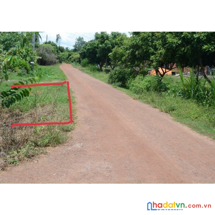 Bán đất tây ninh vịtrí đẹp- giá rẻ bất ngờ chỉ 398tr 