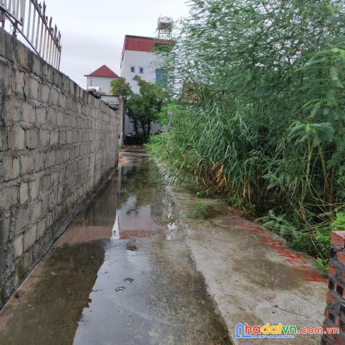 Chính chủ cần bán lô đất vị trí đắc địa tại quận đồ sơn, hải phòng