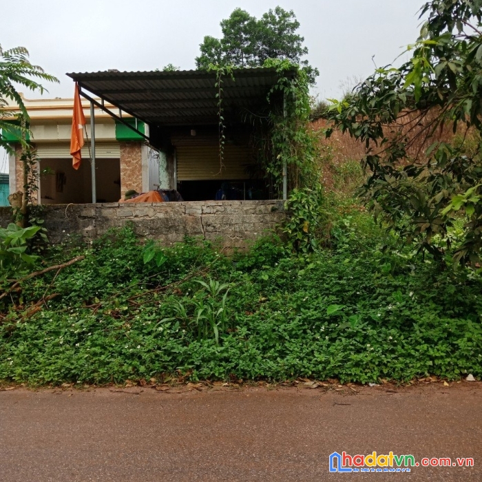 Mảnh đất đắc địa tại thôn vòong tre, xã đài xuyên huyện vân đồn quảng ninh.