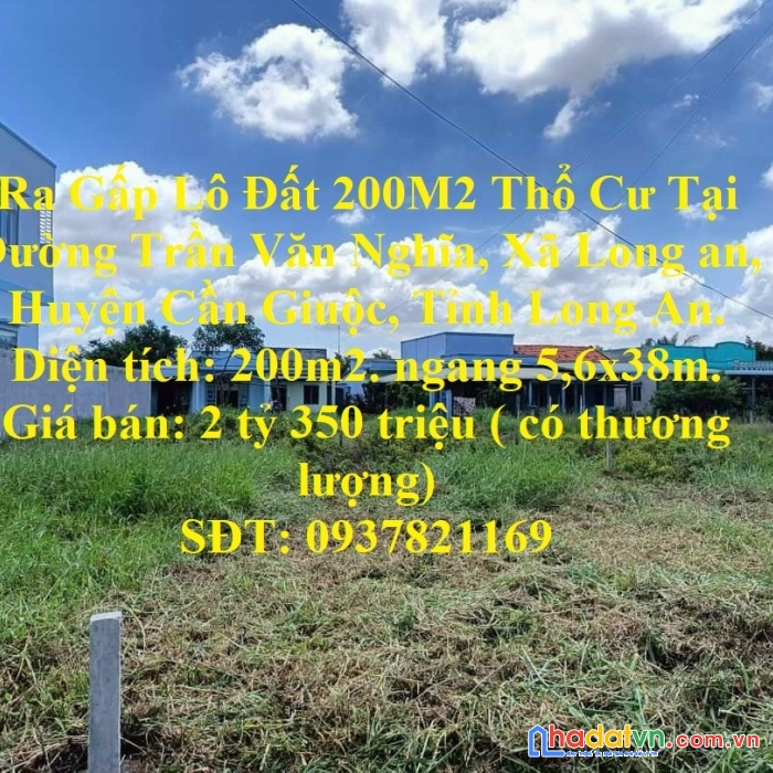 Ra gấp lô đất 200m2 thổ cư tại cần giuộc, tỉnh long an.