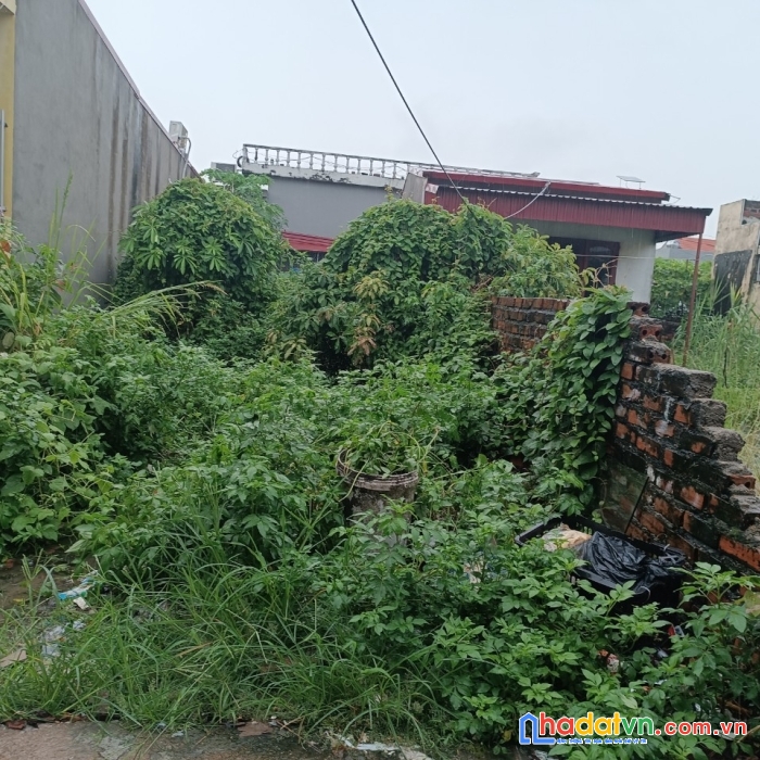 Tdp 2 hòa nghĩa dương kinh  hp  100m ngang 5 giá 1,x tr .m