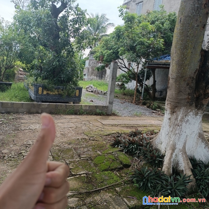 Mặt đg 353 tdp quý kim 3 hợp đức  đồ sơn hp