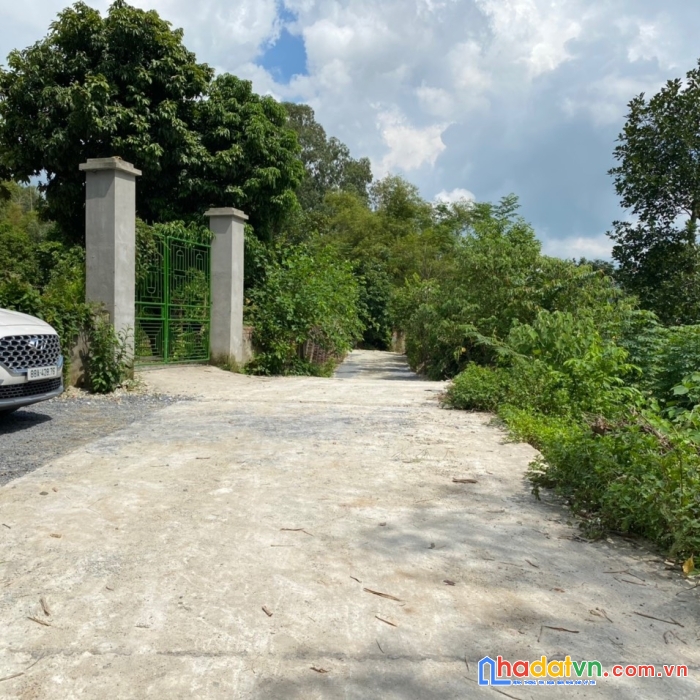 Hót quá  
lô đất tại tdp ao mây, tt hợp châu, tam đảo.