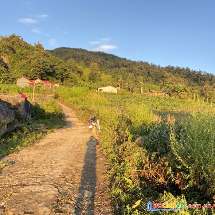 Bán mảnh đất gần các tiện ích