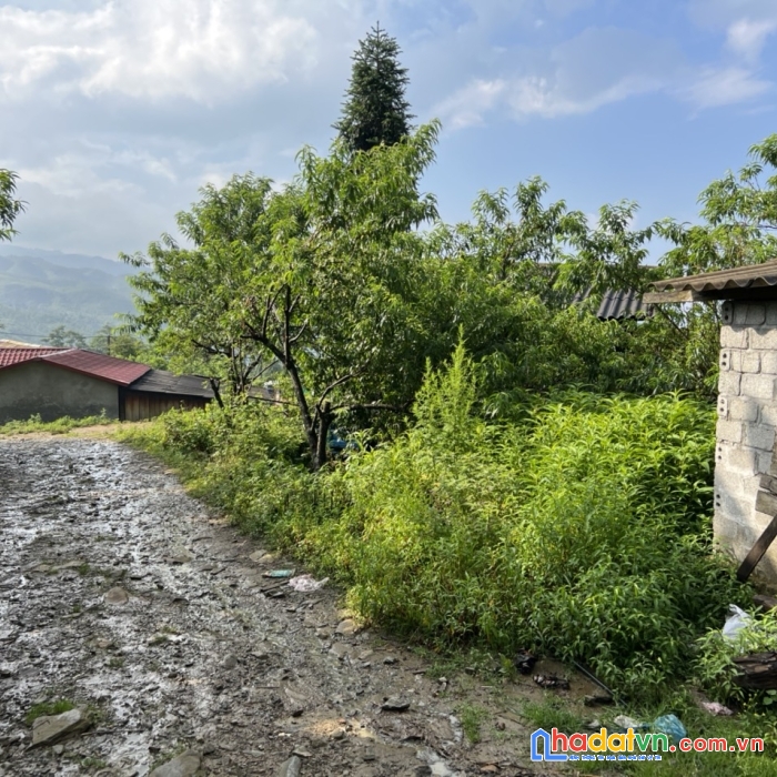 Lô đất thổ cư , sẵn nhà , sổ đỏ mới ting tại thôn phìn hồ y tý sapa2