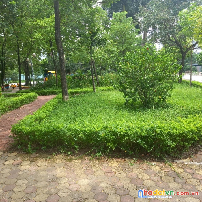 Bán mảnh đất thanh trì giá rẻ hợp lí