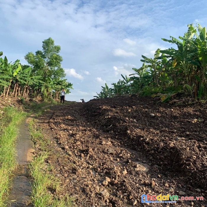 Bạn muốn tìm mảnh vườn cách quận 2 chỉ 50p đi xe thì đừng bỏ qua liên hệ 0935166466