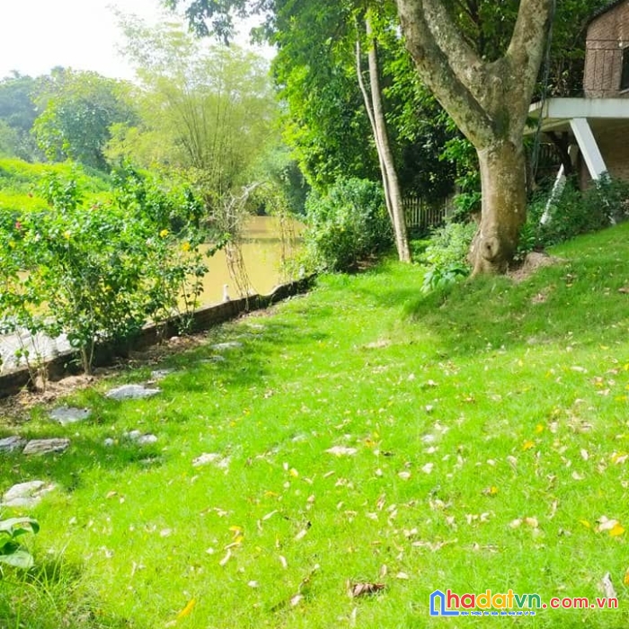 Bán đất cư yên lương sơn 1540m giá 1.x tỷ - view thoáng - nhà khuôn viên đẹp