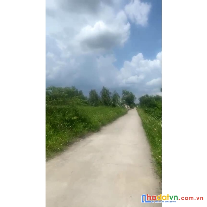 Bán lô đất 16479m2 bình chánh 79.9 tỷ