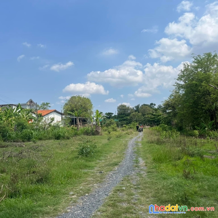 Bán lô đất 7000m2, đường 14m bình chánh, 27 tỷ 500