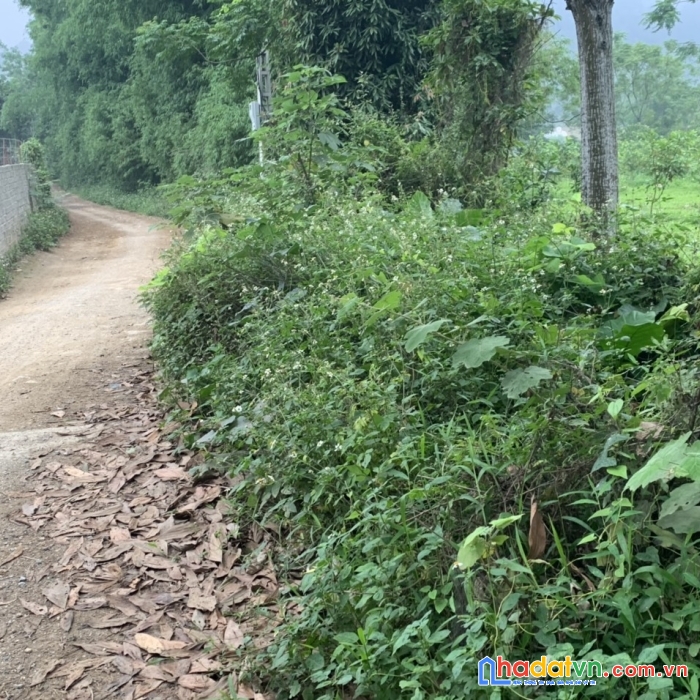 Chính chủ cần bán nhà và đất tại lương sơn, hoà bình