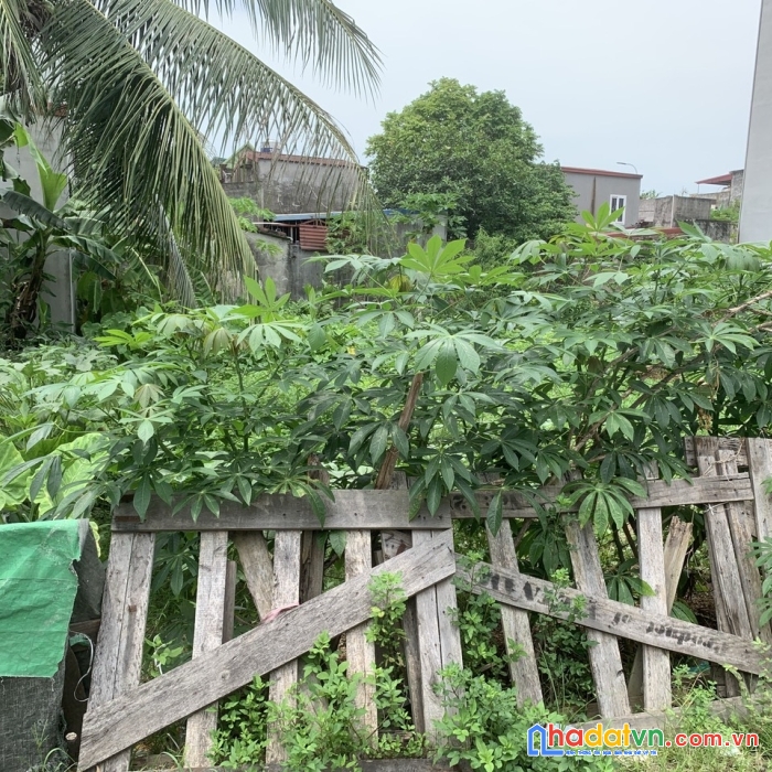 Chủ nhờ bán 90m2 ngay hải thành 1 , dương kinh hải phòng , giá chỉ 2,x tỷ lh: mr truyền-3
