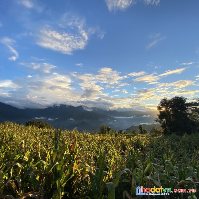 Bán mảnh đất view siêu đẹp tại ngải thầu , rộng rãi kinh doanh mọi hình thức