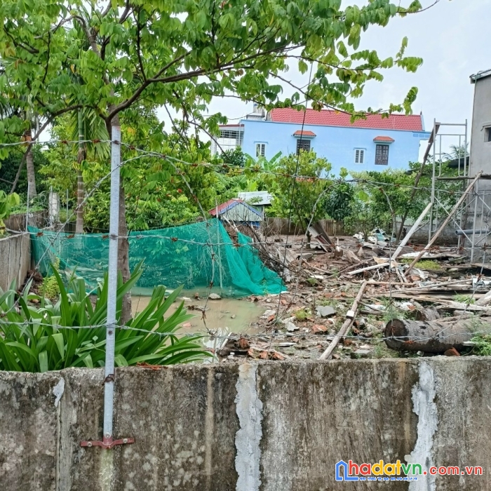 Nhanh tay sở hữu lô đất đẹp tại đồ sơn hải phòng