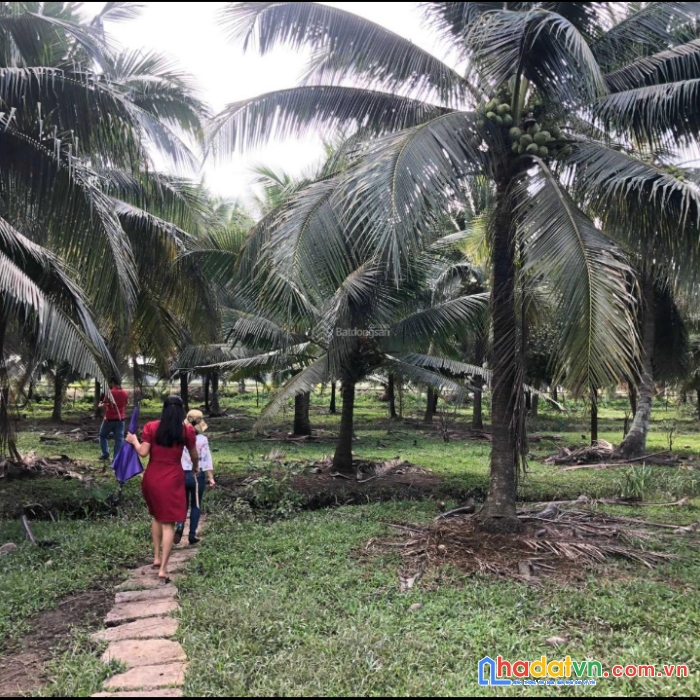 Chính chủ bán đất tam an, long thành, đồng nai.