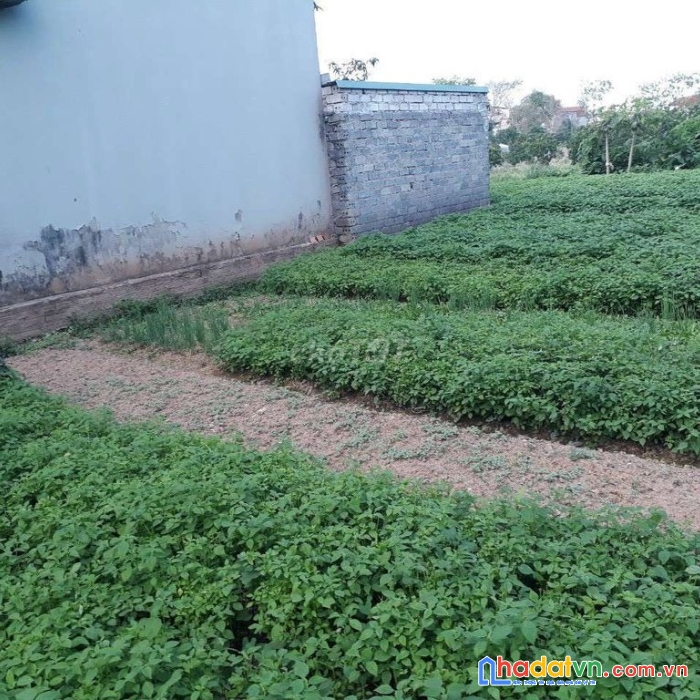 Chính chủ cần bán lô đất tại chương mỹ hà nội