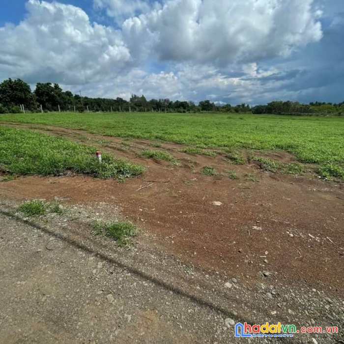 Bán 1 sào đất mặt tiền đường 765 tại xuân đông, cẩm mỹ, chỉ 1,6 tỷ