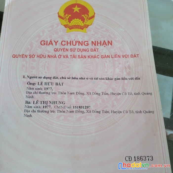 Siêu phẩm cô tô đất mặt biển giá rẻ tiềm năng sinh lời cao