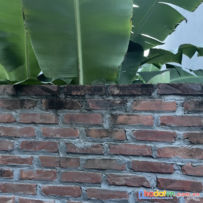 Bán đất rẻ nhất di trạch, dt 42,5 m2, mt 4.2 m.