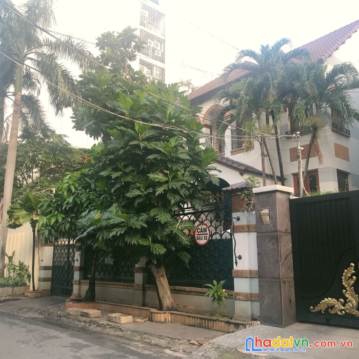 Cần bán biệt thự đường 783 tạ quang bửu , p4 quận 8  dt 160m2