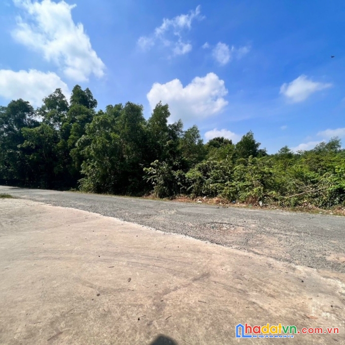 Cần bán đất tại tỉnh bình dương