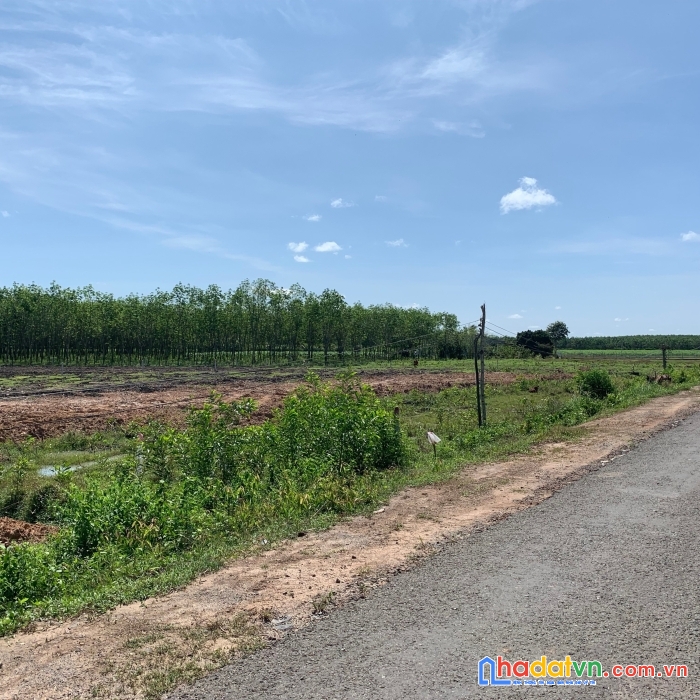 Chính chủ cần bán gấp 5 lô đất liền kề, đường tỉnh lộ 14c - tây ninh