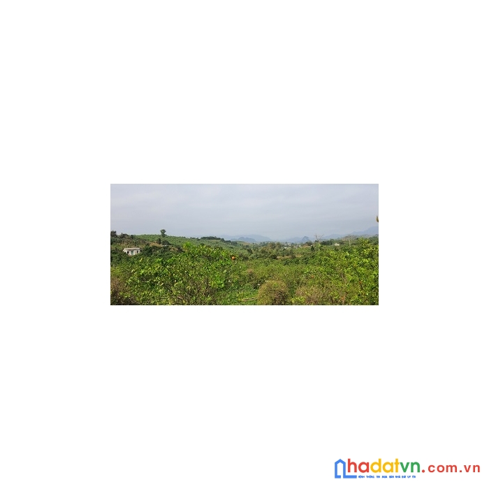 Mở bán nhanh lô đất nghỉ dưỡng view thoáng đẹp tại cao phong ,hòa bình