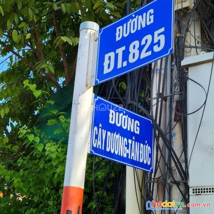 Cây dương- tân đức xã đức hòa hạ huyện đức hòa 234m2  2.9 tỷ