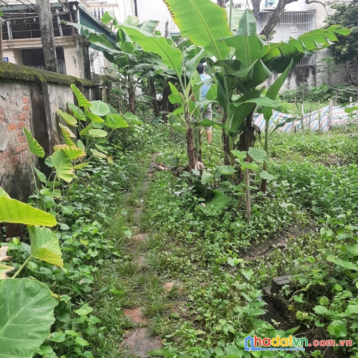 Tin sốt dẻo, đất bằng liệt 40m gõ ba gác phi giá chào 2,5 tỷ - hàng xóm kđt linh đàm 0928077333.