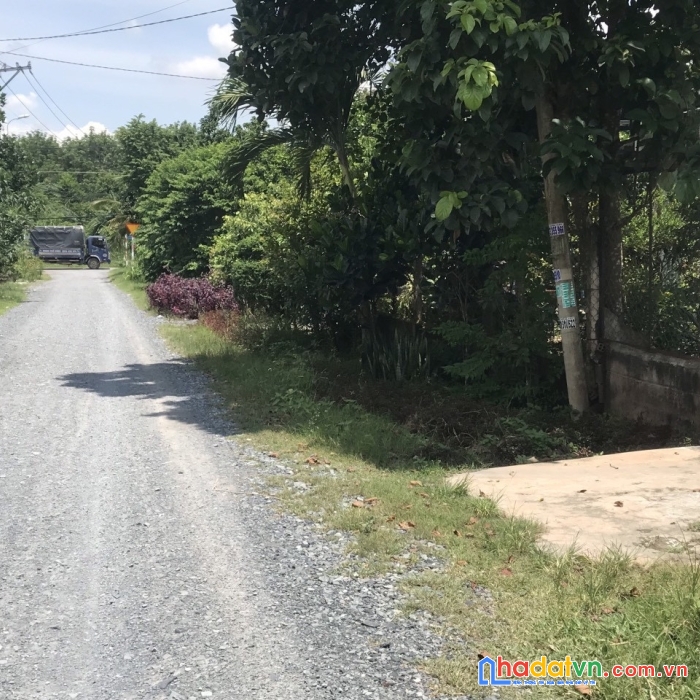 Bán 201.2m2 đất thổ cư tại phú hòa đông, củ chi 2.29 tỷ