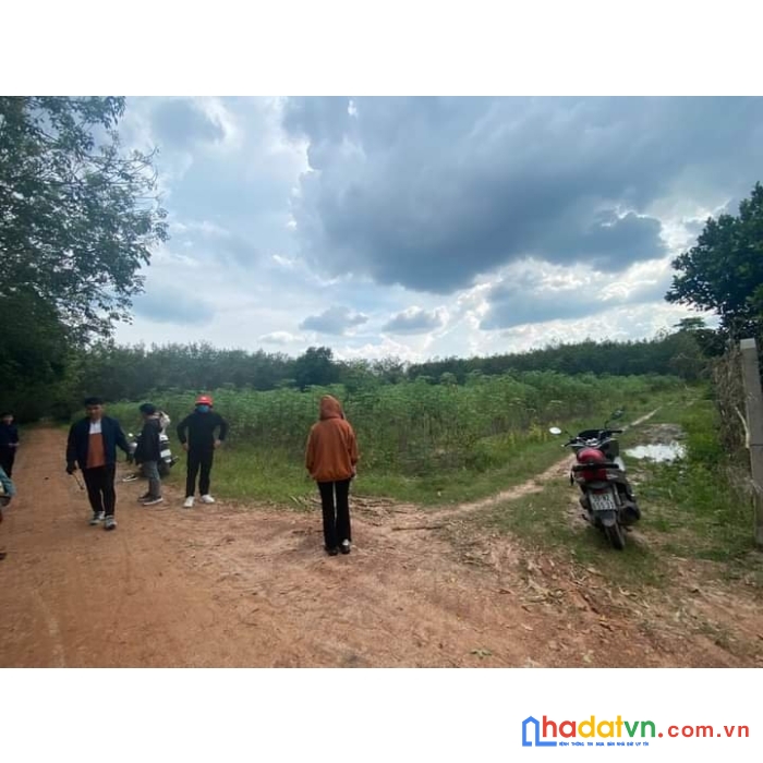 Mua đất càng sớm, vị trí càng ngon
em vẫn còn một số lô đất đẹp ở tân châu, tây ninh