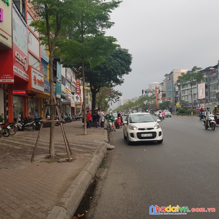 Bán 250m2 mặt phố đào tấn hà nội xây tòa 10 tầng cho thuê kinh doanh.