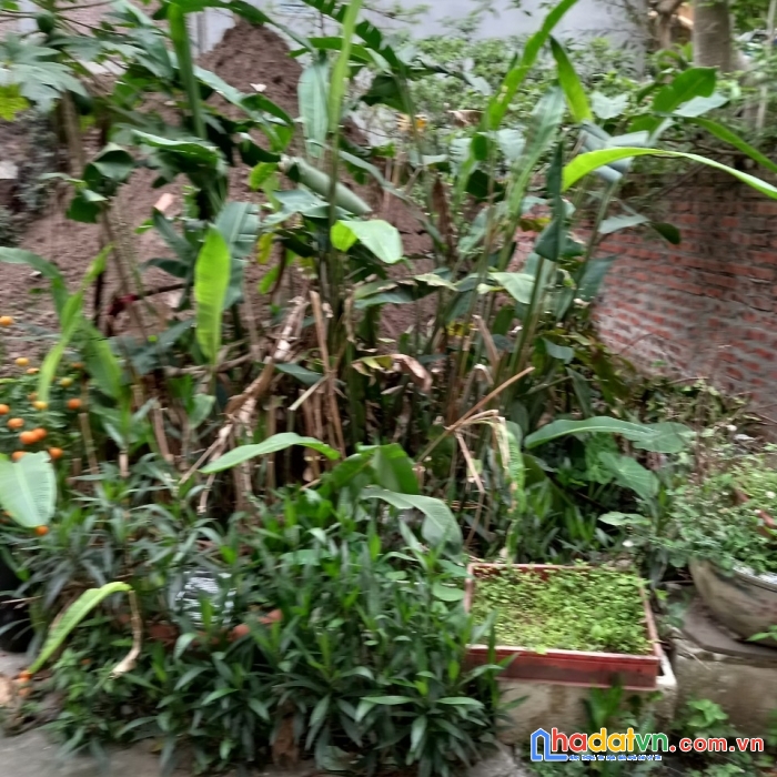 Không có mảnh thứ 2! giang biên, long biên 35m lô góc, ô tô tránh, 1,75 tỷ