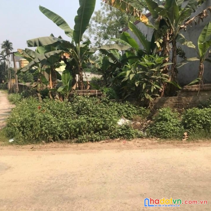 Bán đất xuân linh thủy xuân tiên lô góc 125m - ô tô tránh - giá nhỉm tỷ